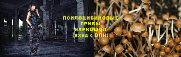 ешки Волоколамск
