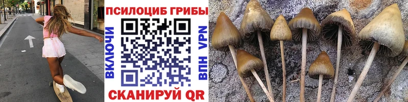 Галлюциногенные грибы Magic Shrooms как найти Новошахтинск